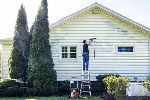 Best House Exterior Washing  in Berkley, MI