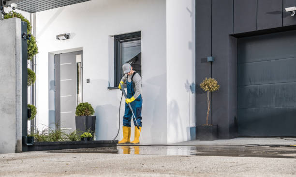 Best Pre-Holiday Cleaning  in Berkley, MI